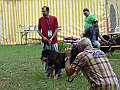 img 020